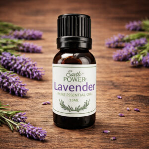 Lavender Essential Oil