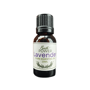 Lavender Essential Oil