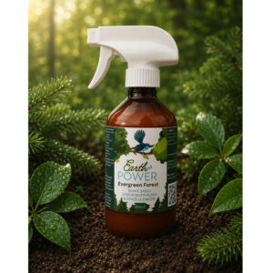 Evergreen Forest Wonder Spray