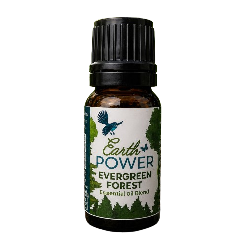 Evergreen Forest Essential Oil - Image 2